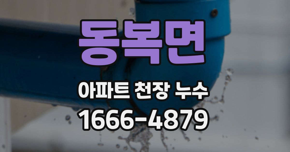 동복면 아파트 천장 누수