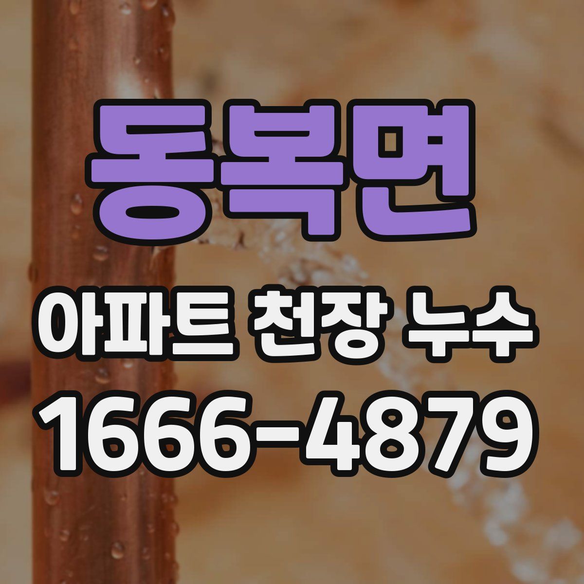 동복면 아파트 천장 누수