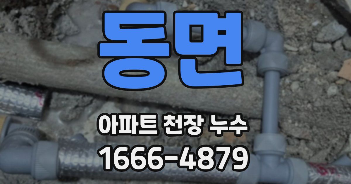 동면 아파트 천장 누수
