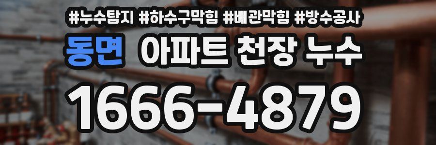 동면 아파트 천장 누수
