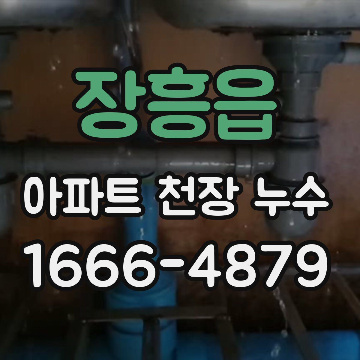 장흥읍 아파트 천장 누수