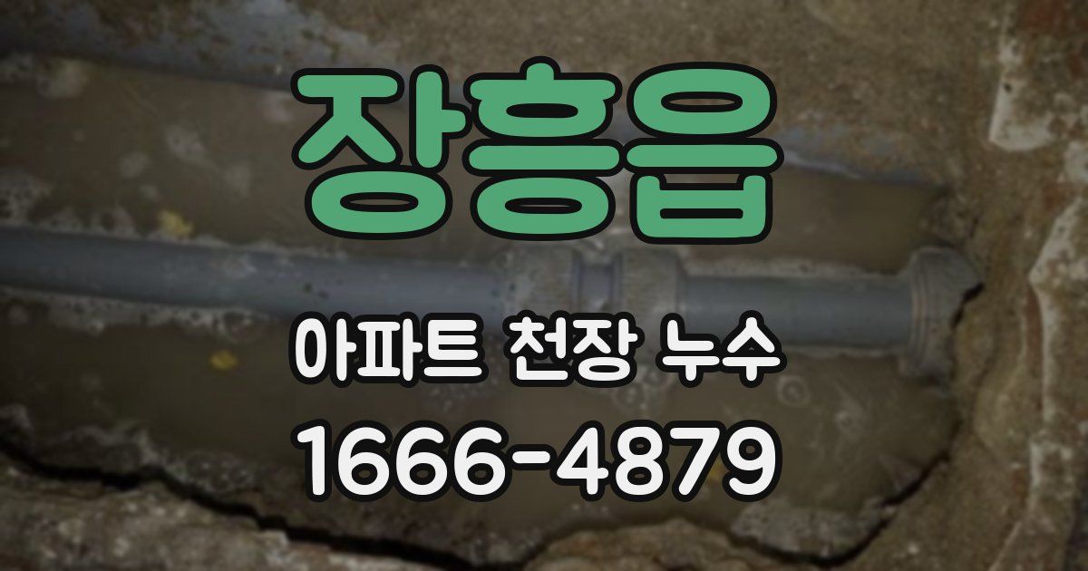 장흥읍 아파트 천장 누수