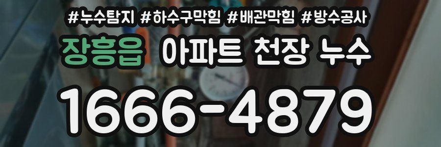 장흥읍 아파트 천장 누수