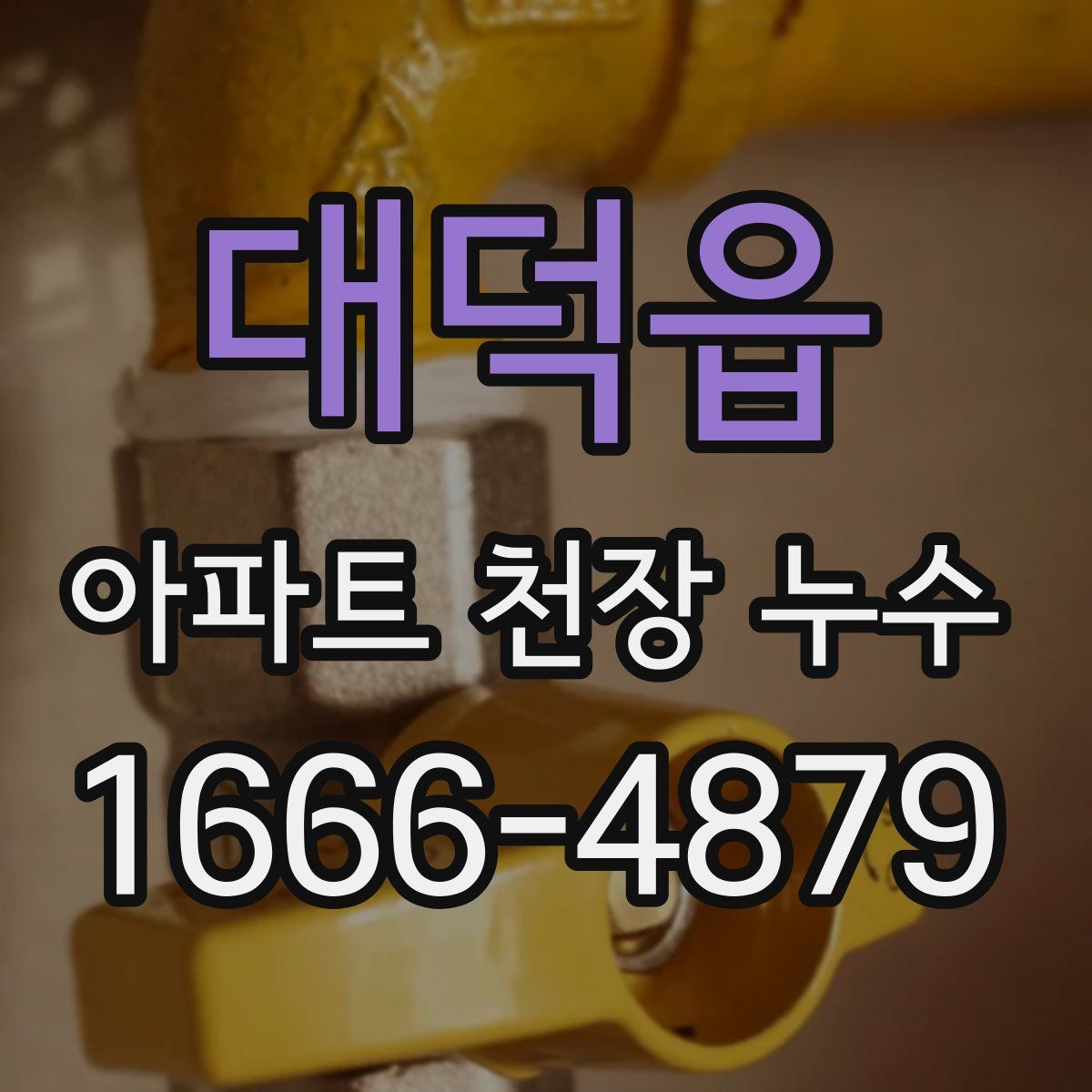 대덕읍 아파트 천장 누수