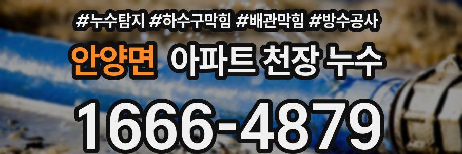 안양면 아파트 천장 누수
