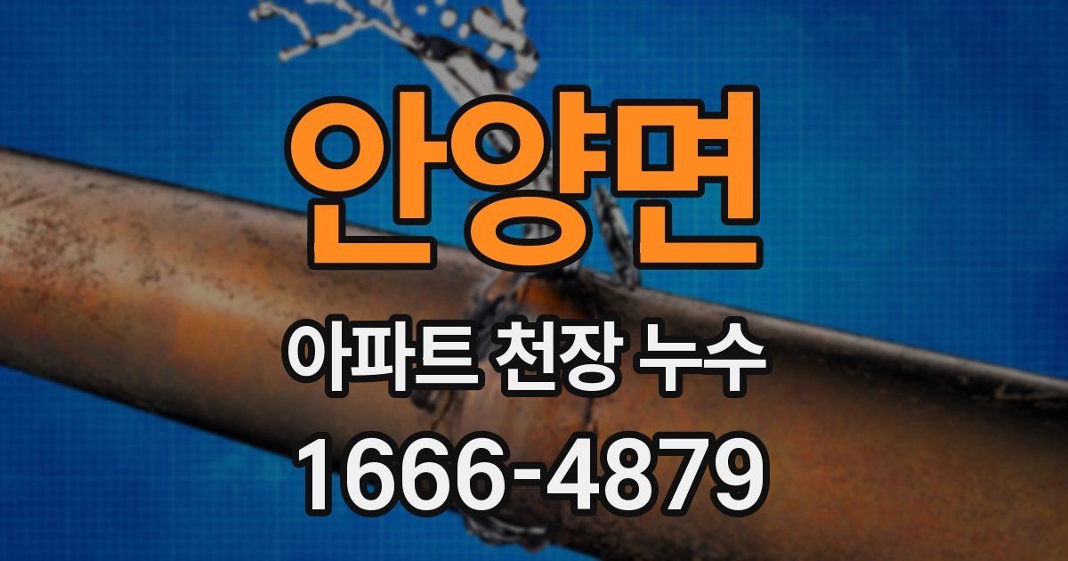 안양면 아파트 천장 누수