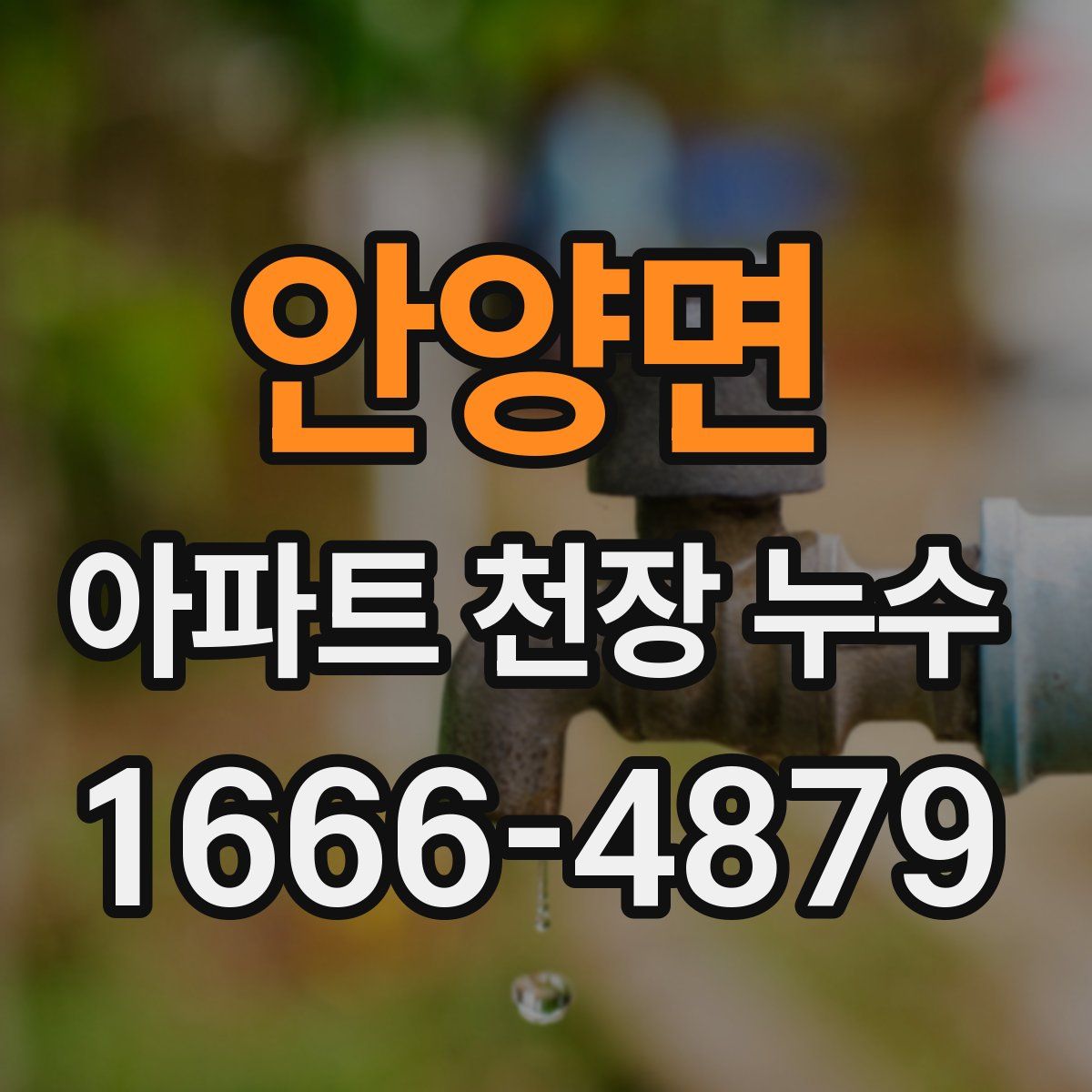 안양면 아파트 천장 누수