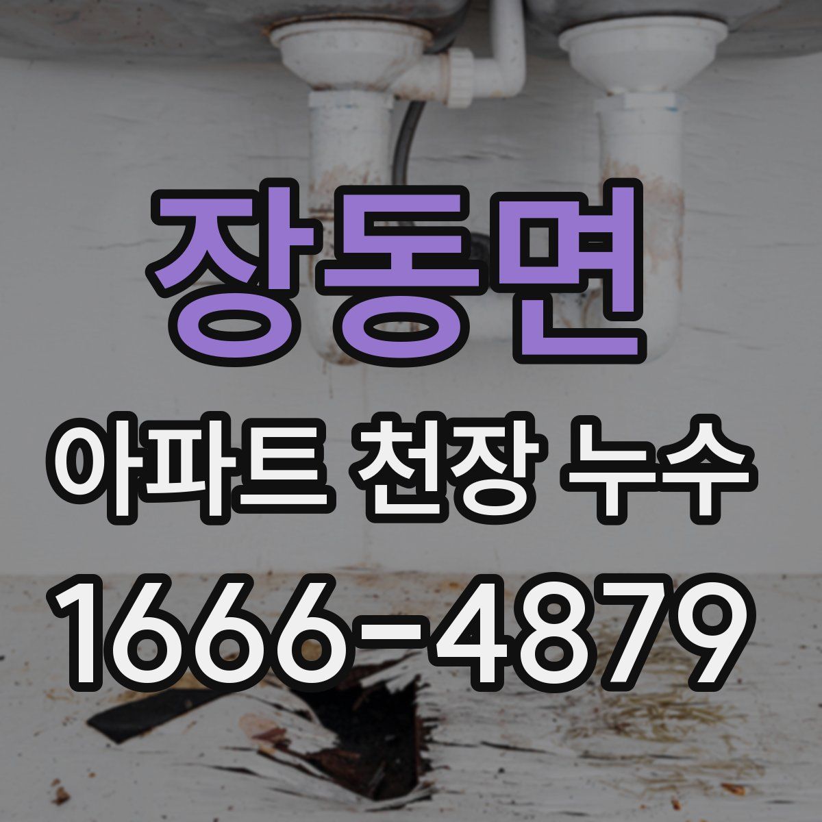 장동면 아파트 천장 누수