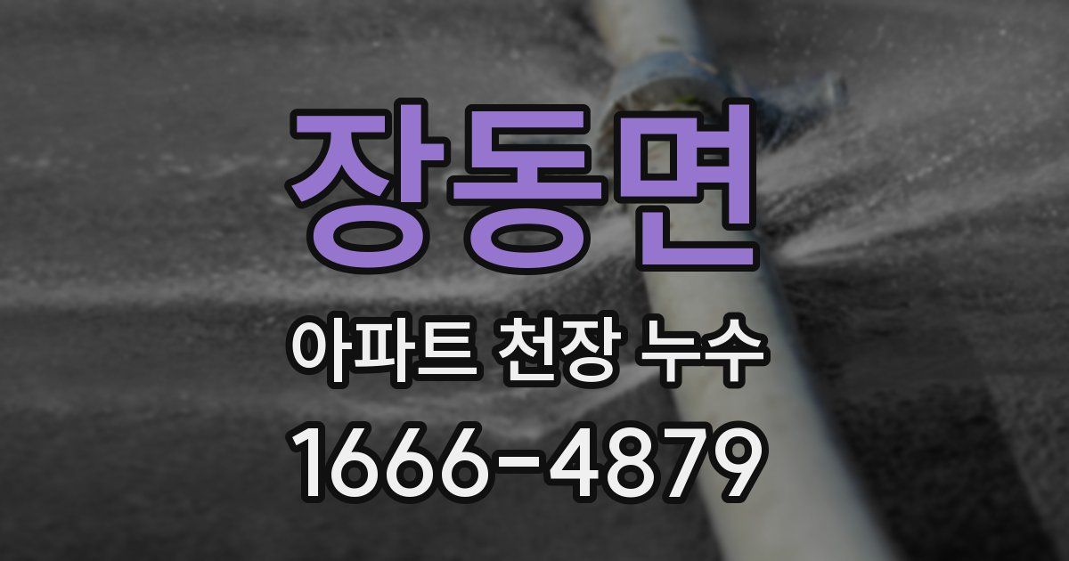 장동면 아파트 천장 누수
