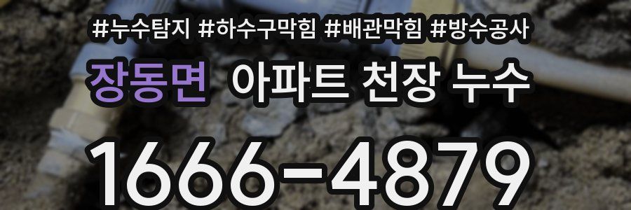 장동면 아파트 천장 누수