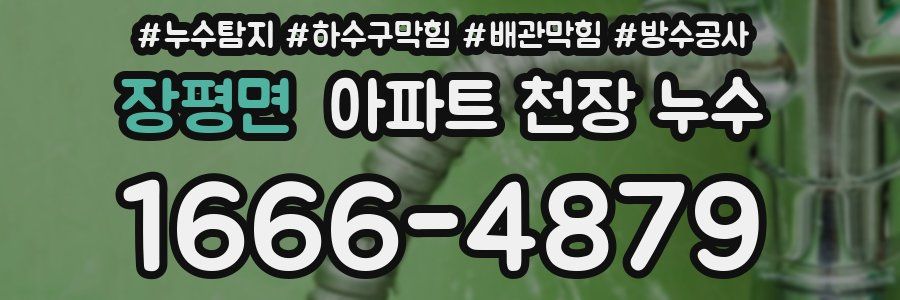 장평면 아파트 천장 누수