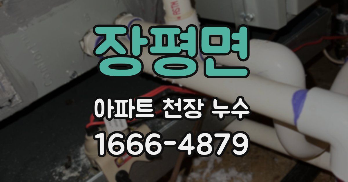 장평면 아파트 천장 누수