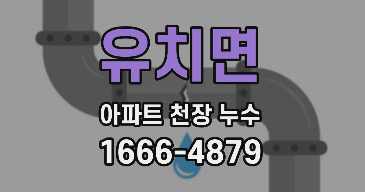 유치면 아파트 천장 누수