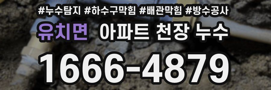 유치면 아파트 천장 누수