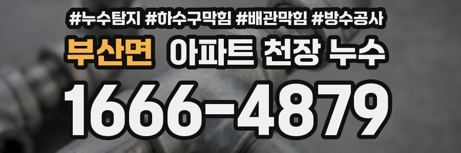 부산면 아파트 천장 누수