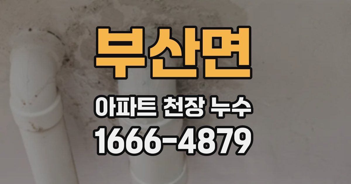 부산면 아파트 천장 누수