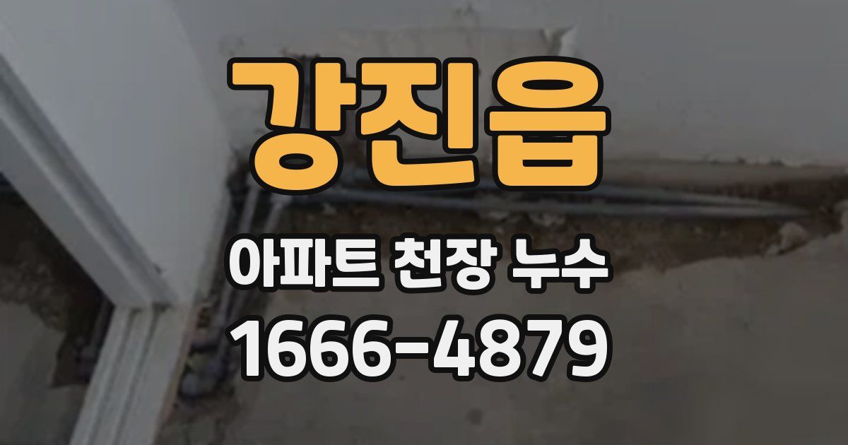 강진읍 아파트 천장 누수