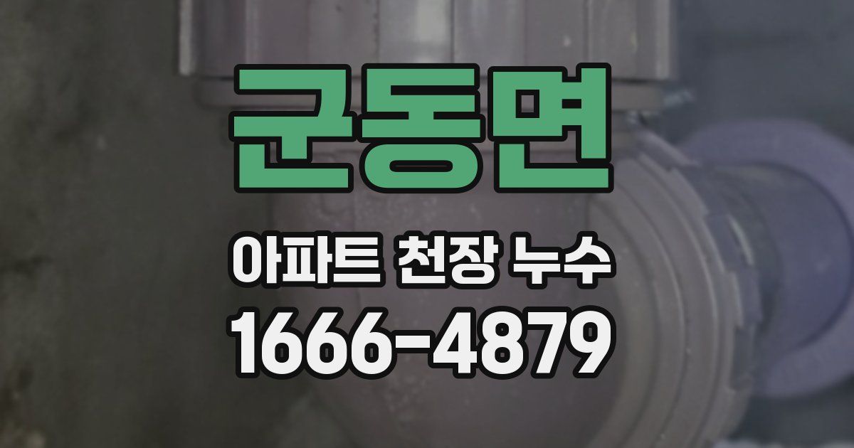 군동면 아파트 천장 누수