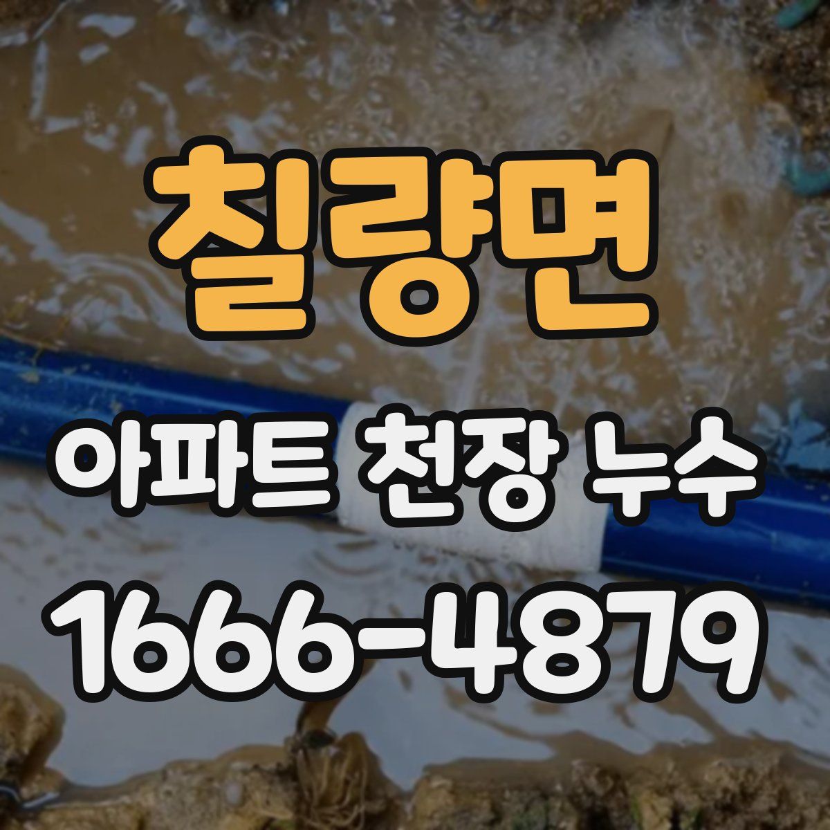 칠량면 아파트 천장 누수