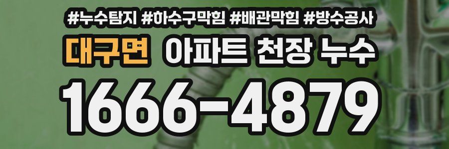 대구면 아파트 천장 누수