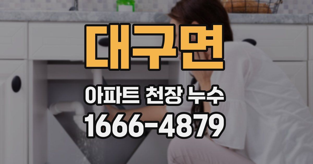 대구면 아파트 천장 누수