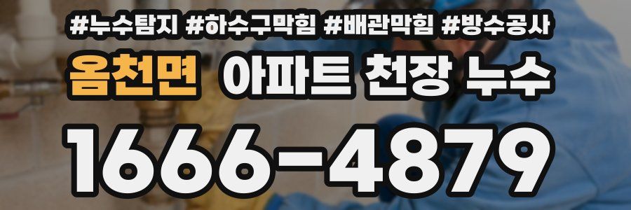 옴천면 아파트 천장 누수
