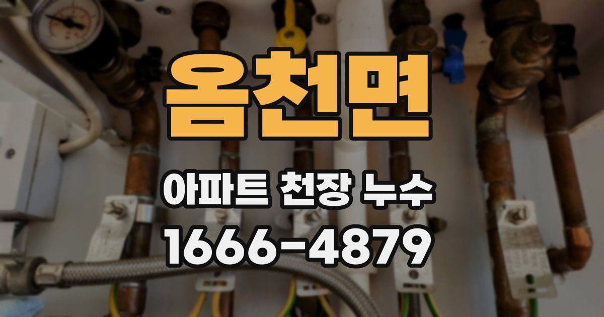 옴천면 아파트 천장 누수