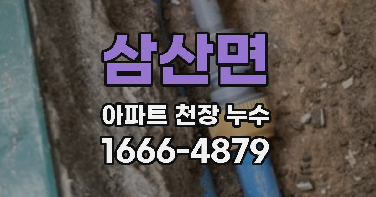 삼산면 아파트 천장 누수