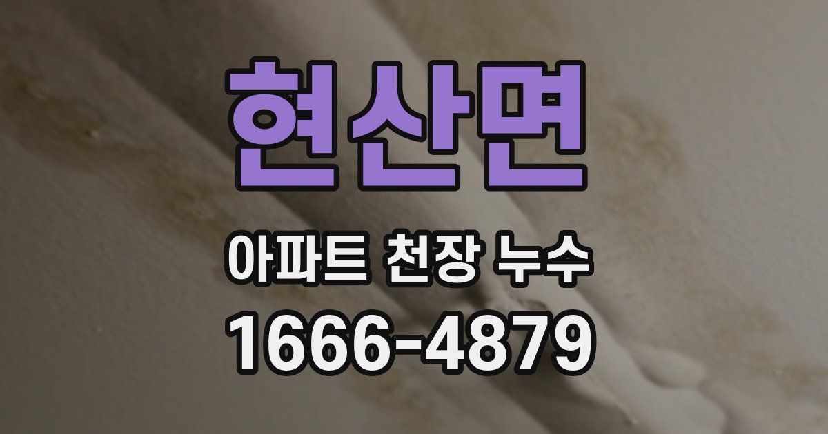 현산면 아파트 천장 누수
