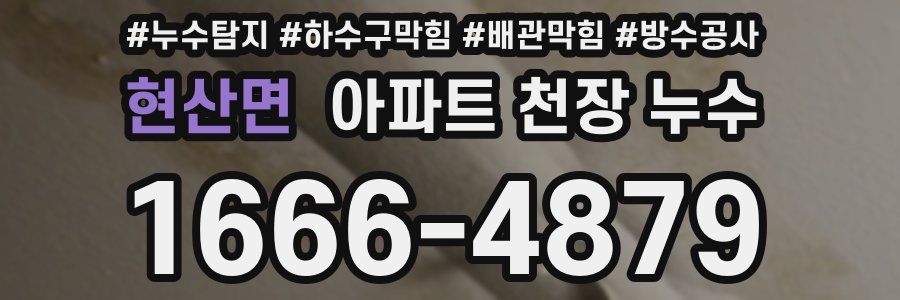 현산면 아파트 천장 누수