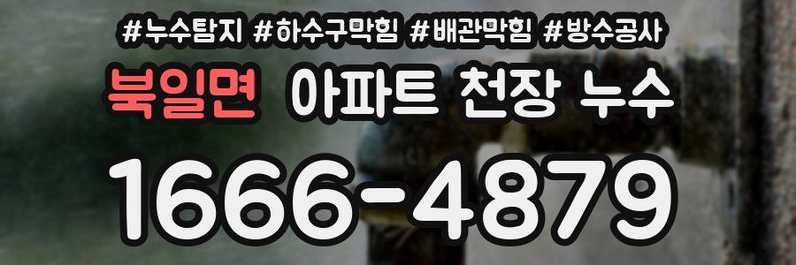 북일면 아파트 천장 누수