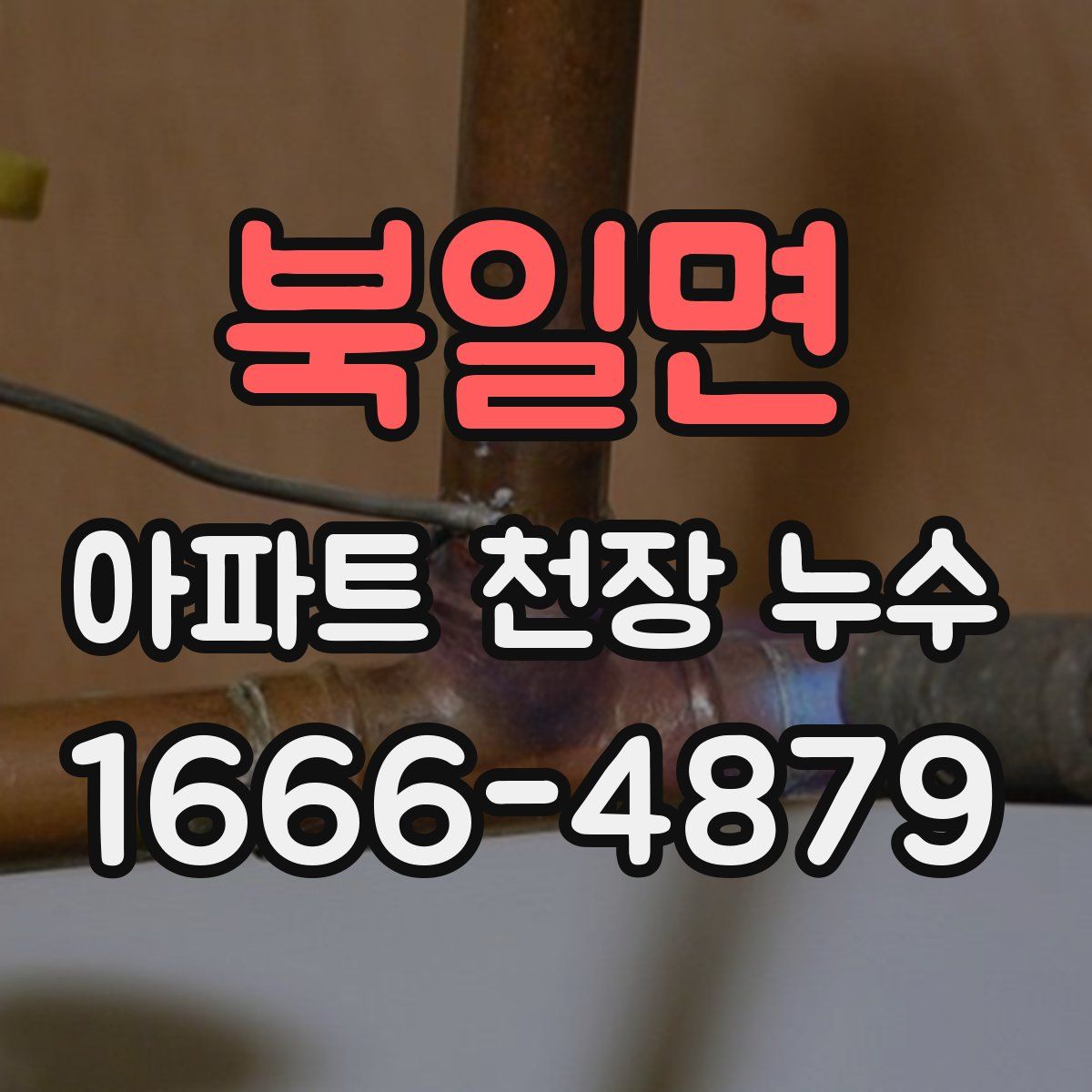 북일면 아파트 천장 누수