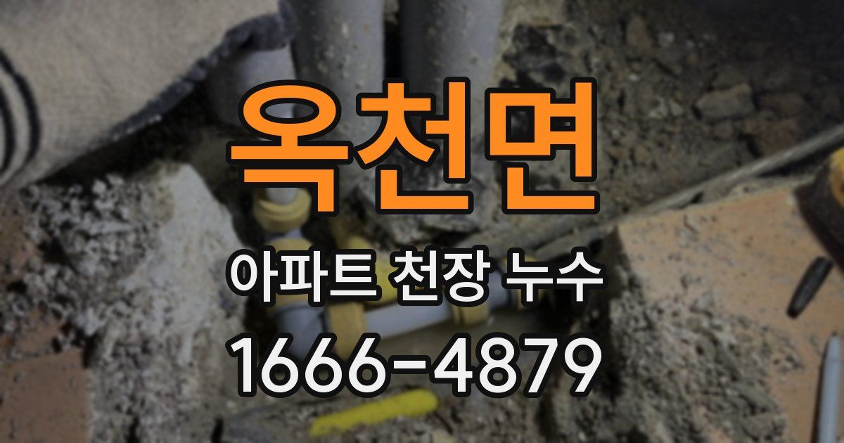 옥천면 아파트 천장 누수