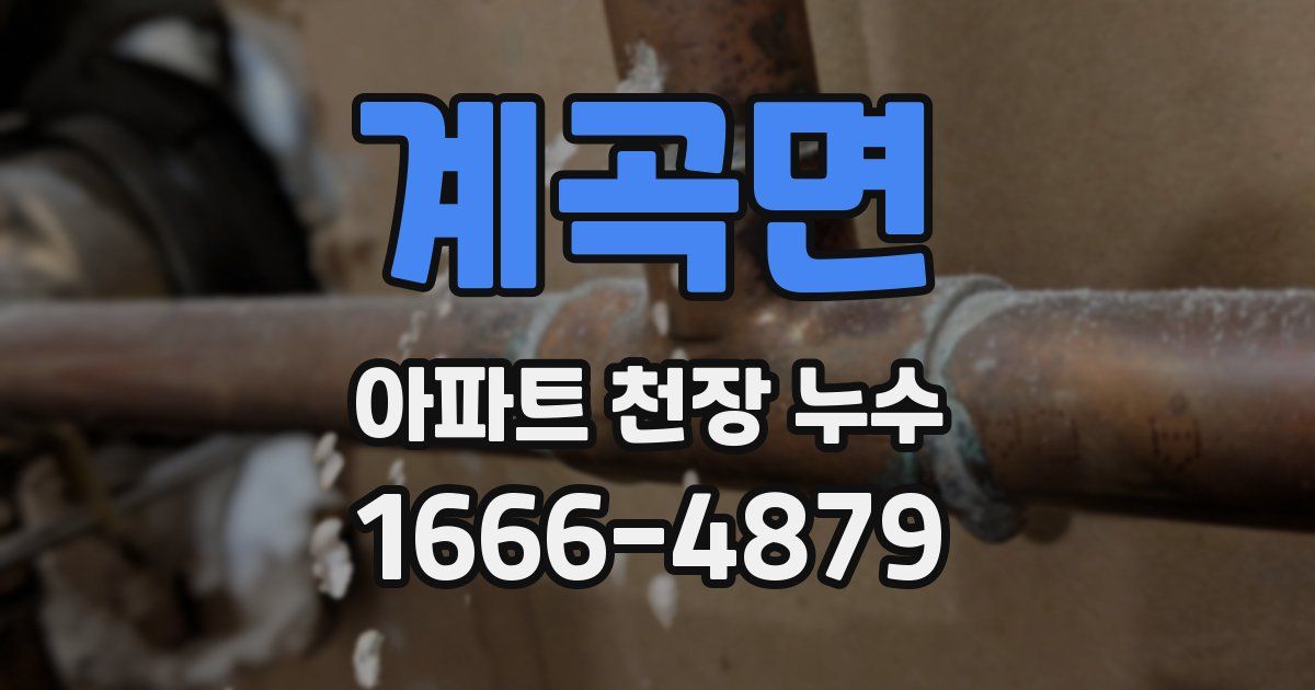 계곡면 아파트 천장 누수