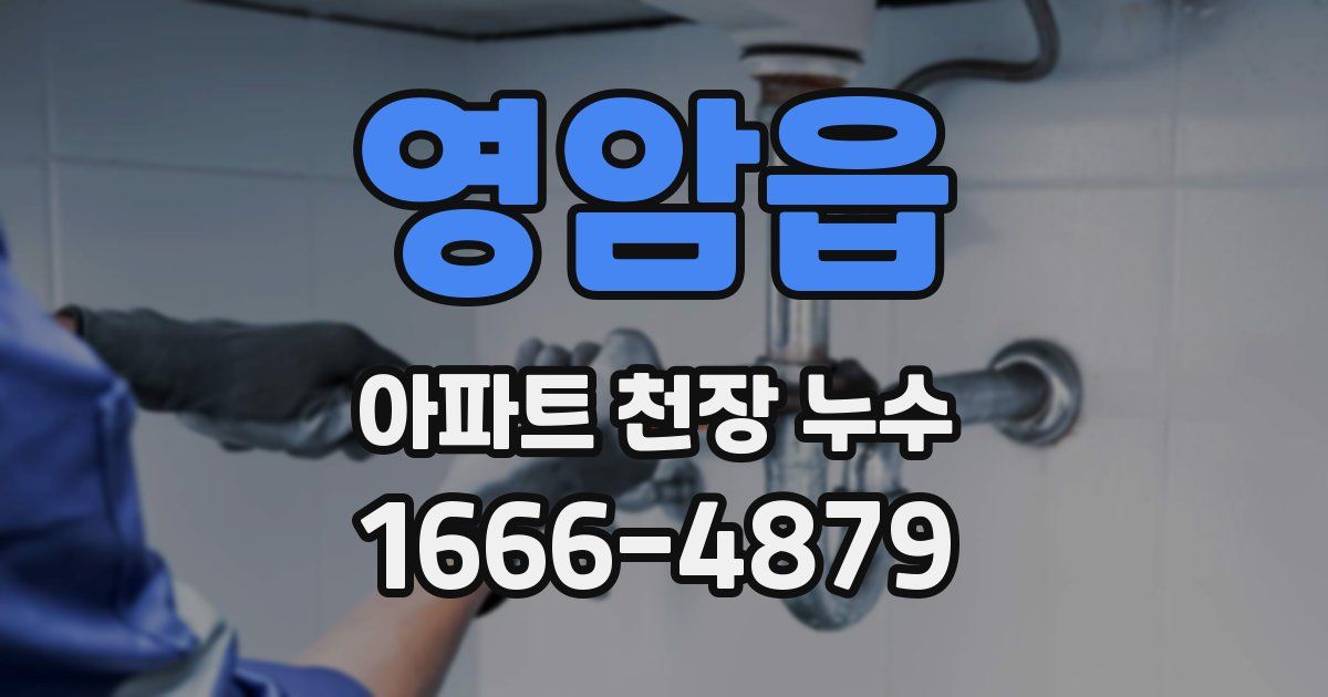 영암읍 아파트 천장 누수