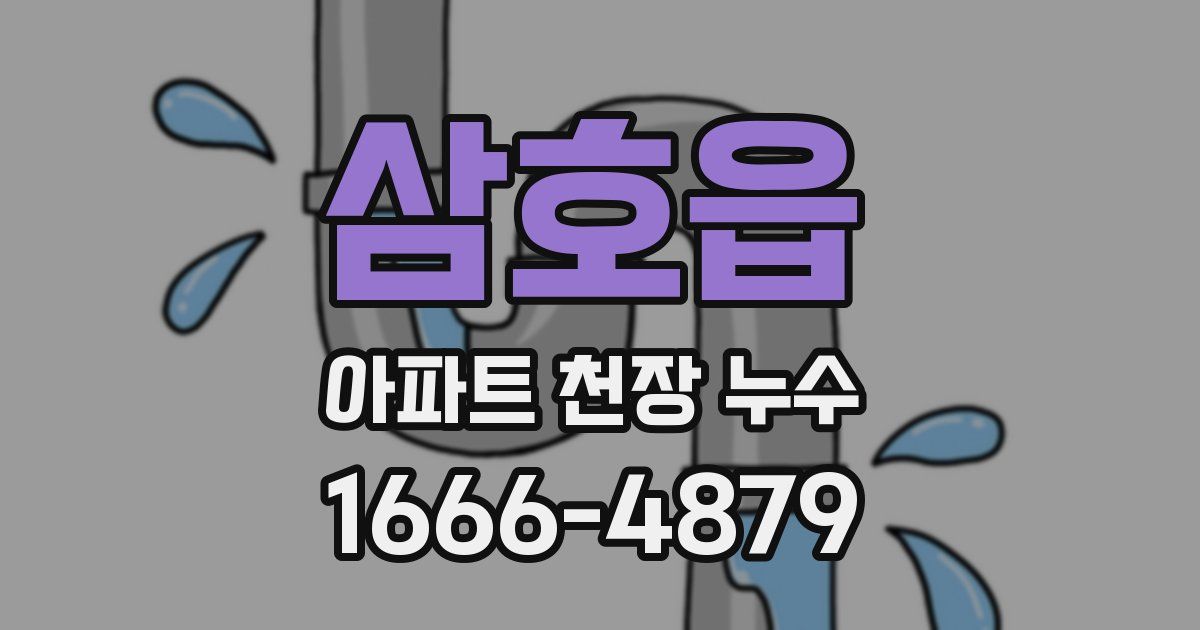 삼호읍 아파트 천장 누수