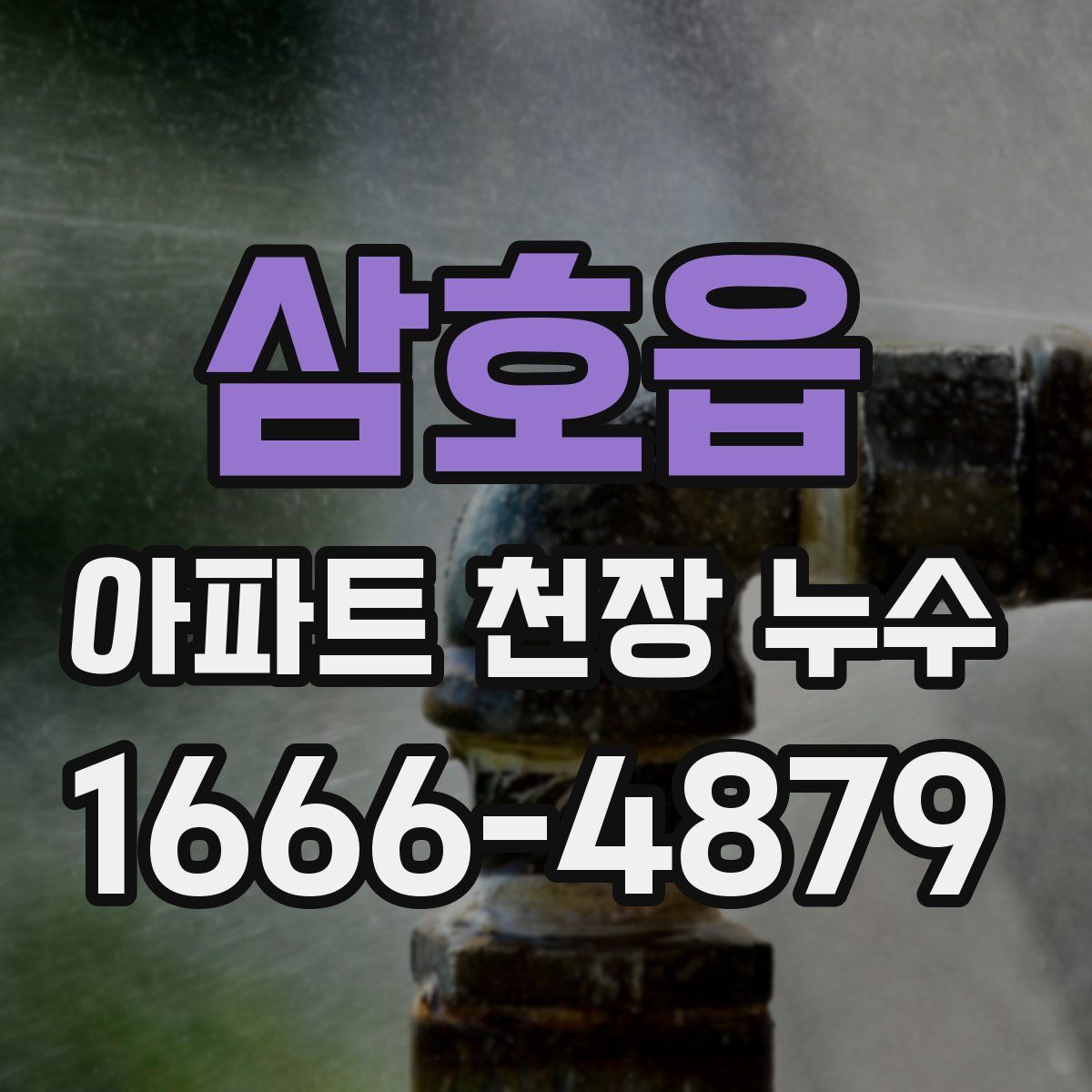 삼호읍 아파트 천장 누수