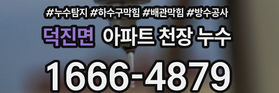덕진면 아파트 천장 누수