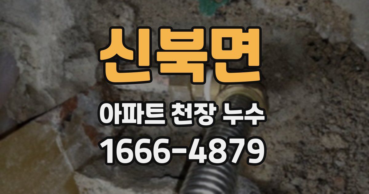 신북면 아파트 천장 누수