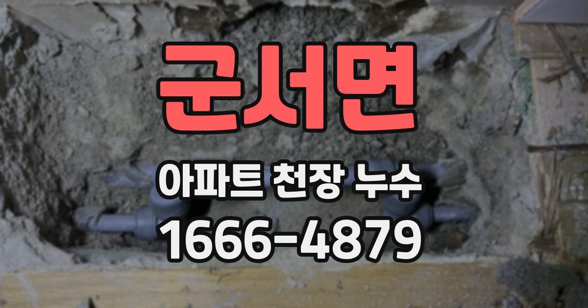 군서면 아파트 천장 누수