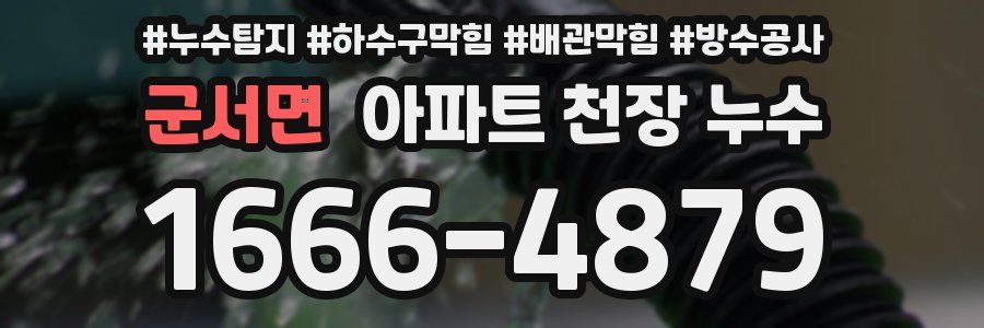 군서면 아파트 천장 누수