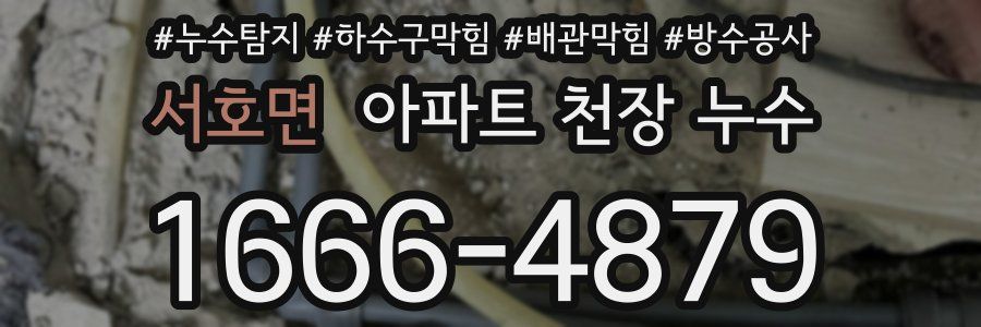 서호면 아파트 천장 누수