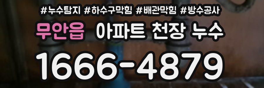 무안읍 아파트 천장 누수