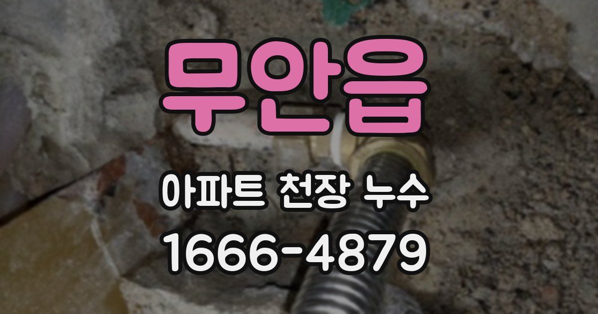 무안읍 아파트 천장 누수