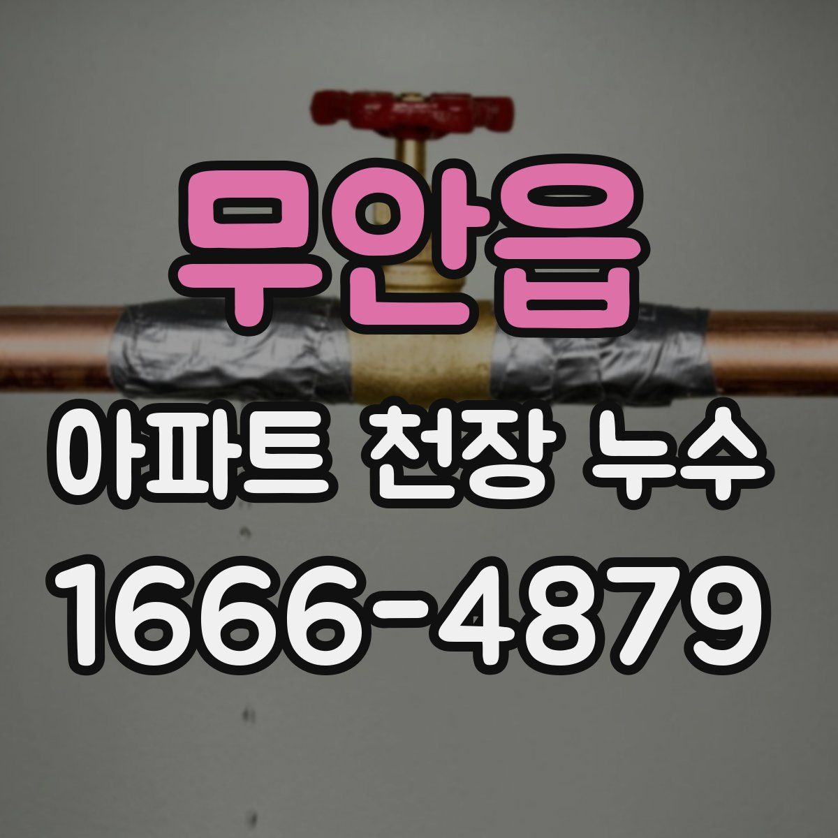 무안읍 아파트 천장 누수