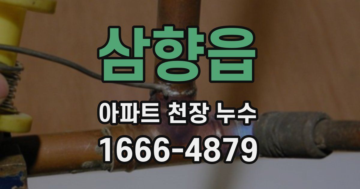 삼향읍 아파트 천장 누수