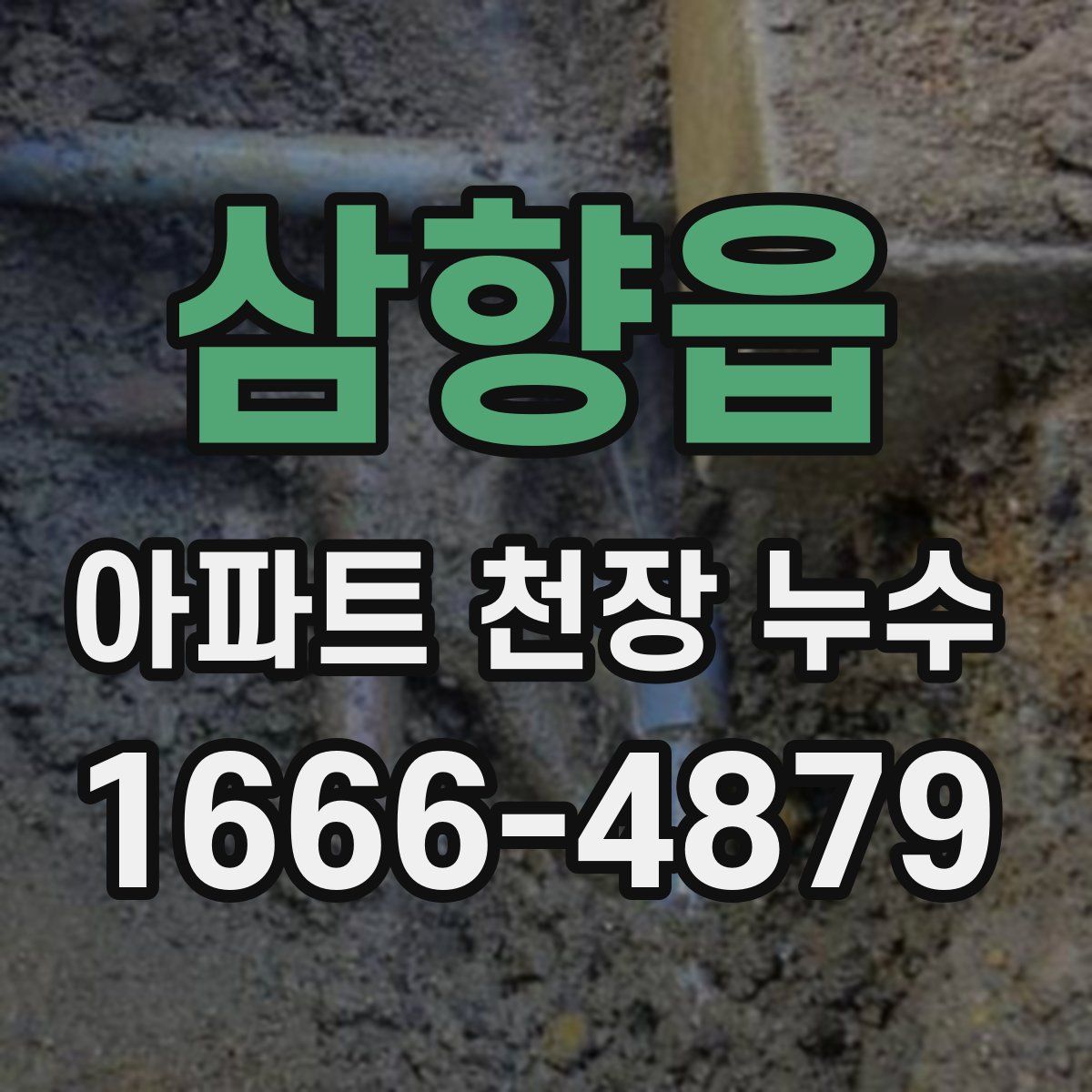 삼향읍 아파트 천장 누수