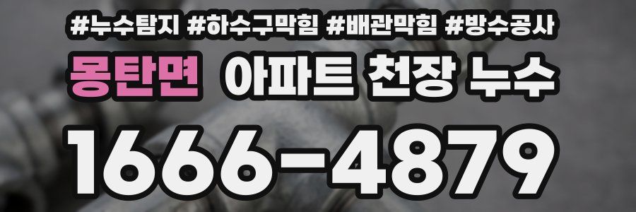 몽탄면 아파트 천장 누수
