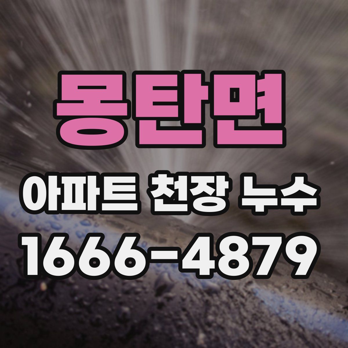 몽탄면 아파트 천장 누수