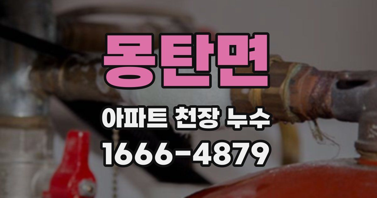 몽탄면 아파트 천장 누수